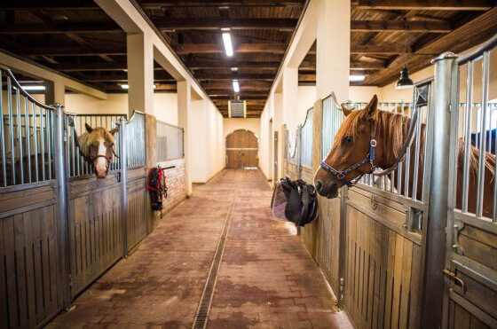 Riding Center & Hotel