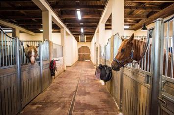 Riding Center & Hotel