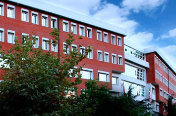 MEF Schools